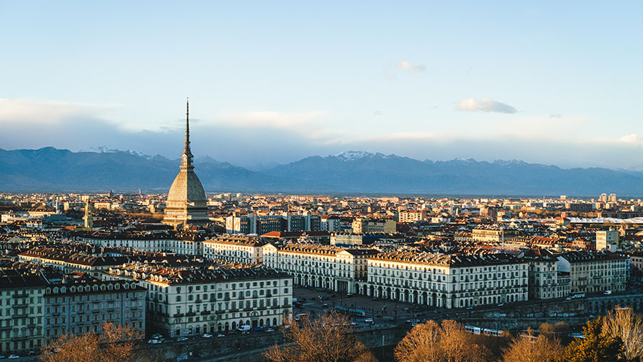 Verdif_Turin